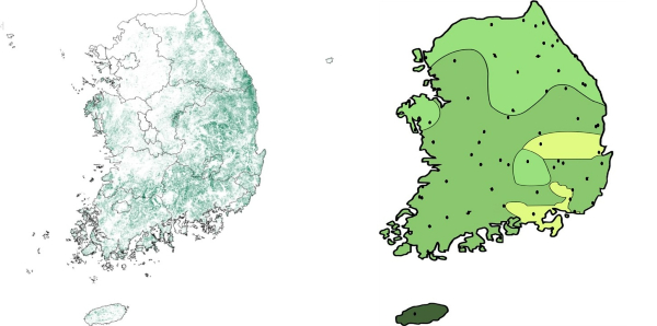 소나무3.jpg