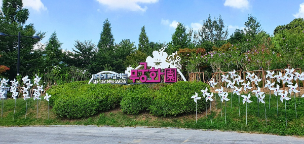 무궁화4.jpg